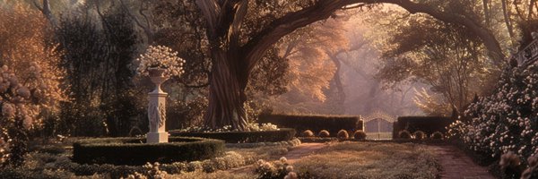 grailcore Profile Banner