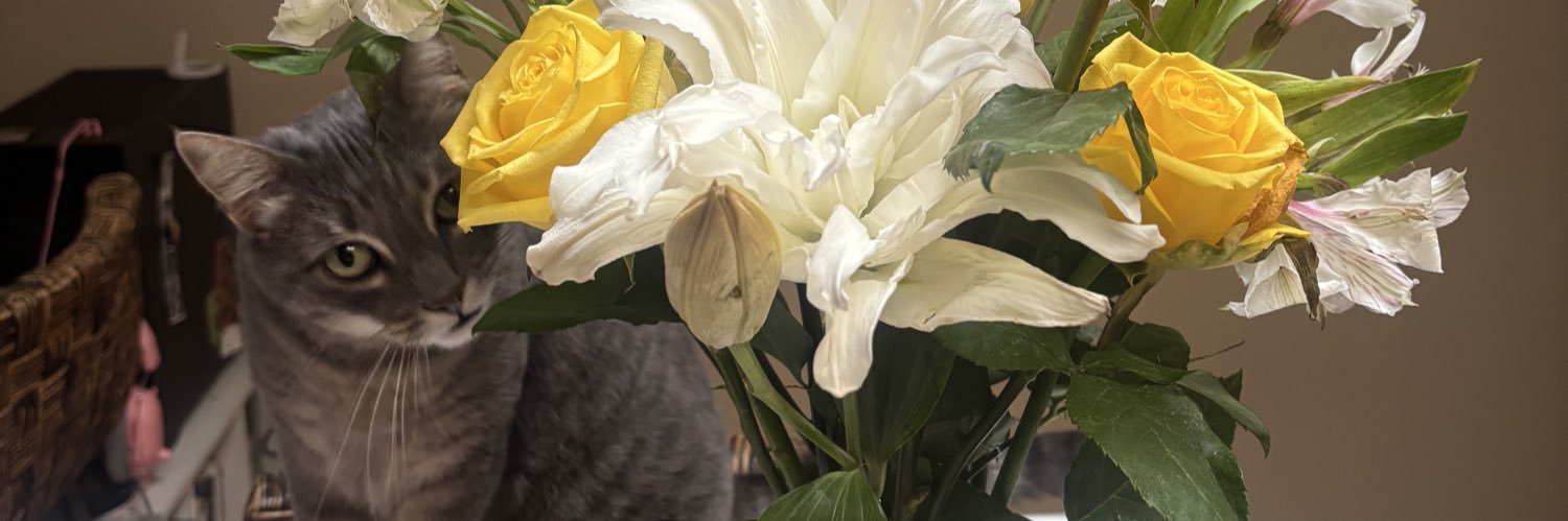 jadermason's profile banner image