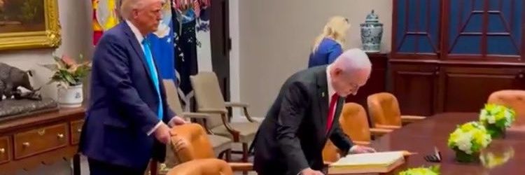 Israel Defense Forces (Parody) banner