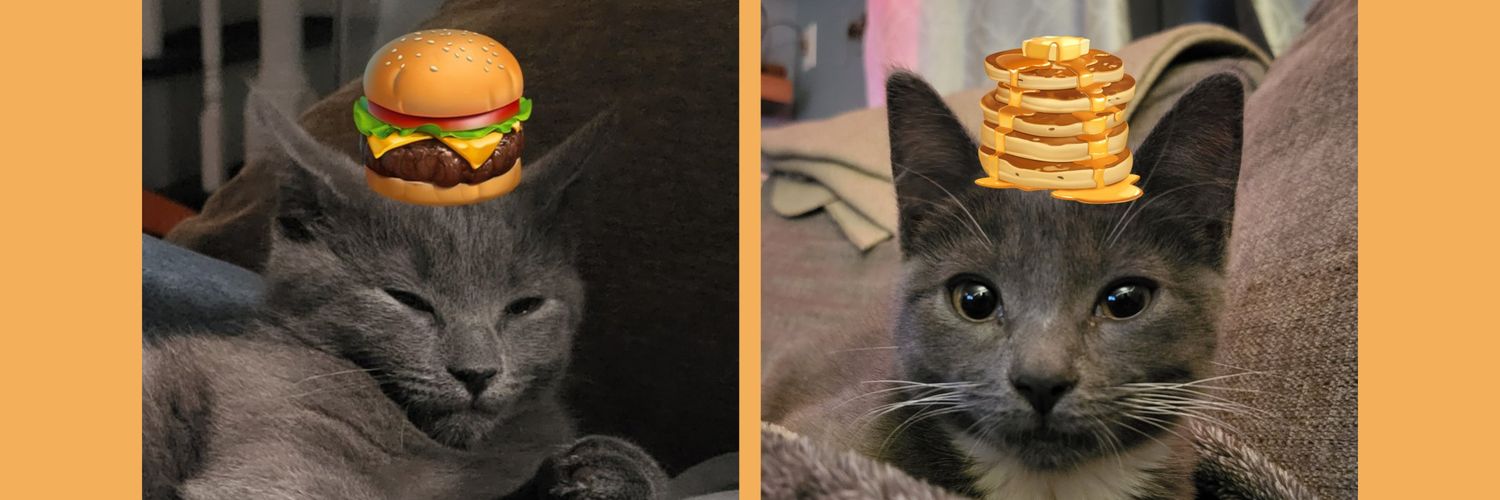 Ginger And Turnip banner