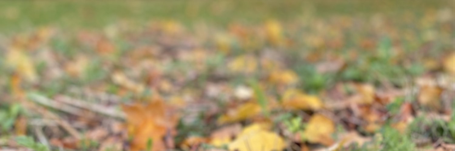 mohdhowait's profile banner image