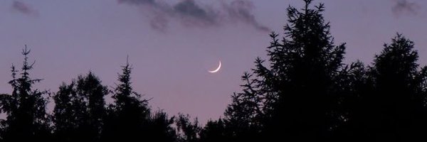 asleonx Profile Banner