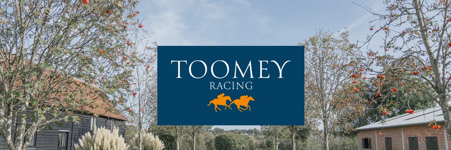 Brian Toomey's banner