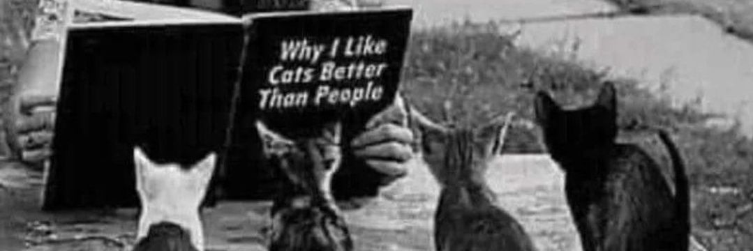 JSupercats's profile banner image