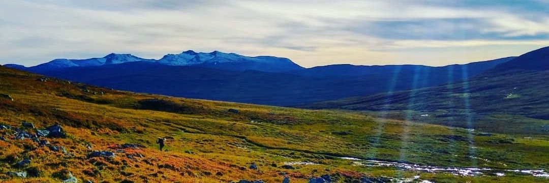 larmbacken's profile banner image
