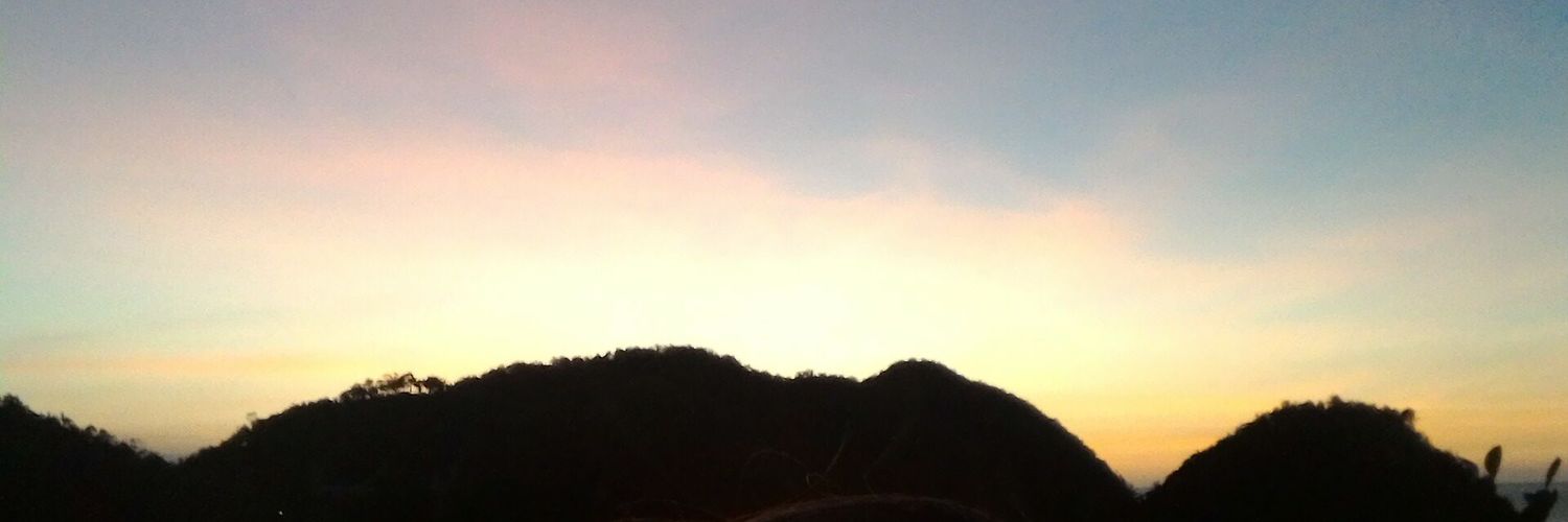 payponsall's profile banner image