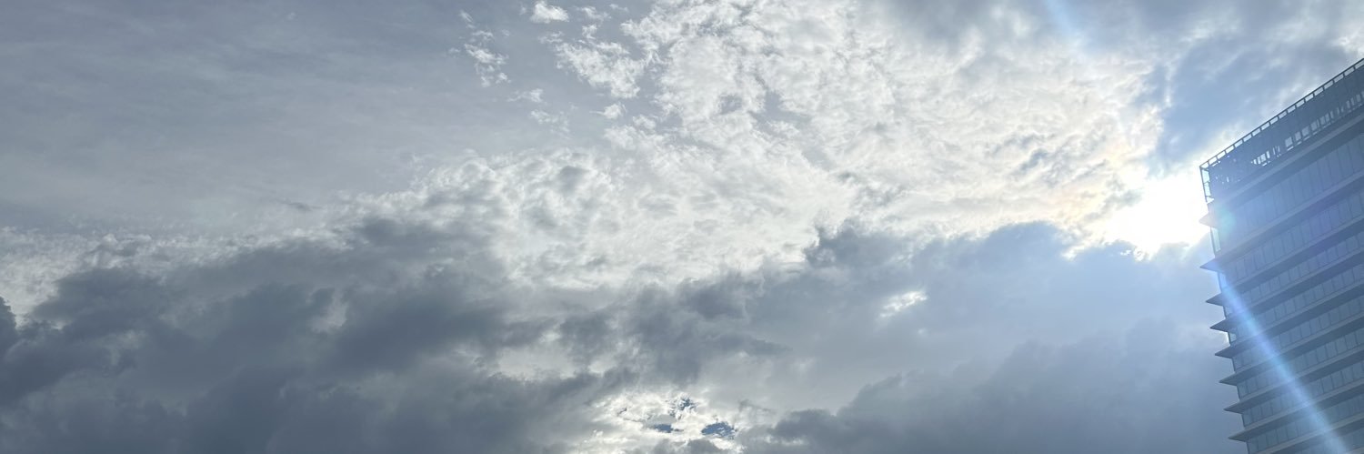 skysthe11mit's profile banner image