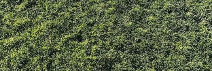 mon banner