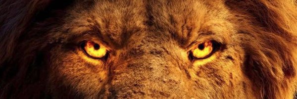 DarVolos Profile Banner