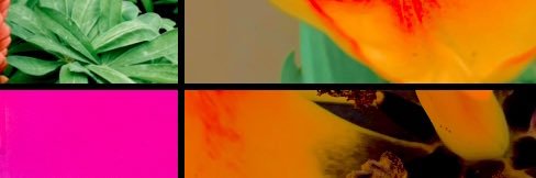 CirocObamaaa's profile banner image