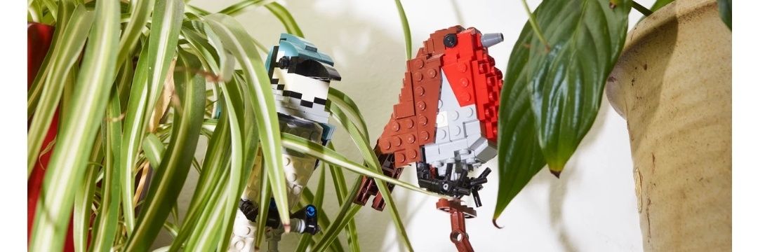 Femke van Hemert banner