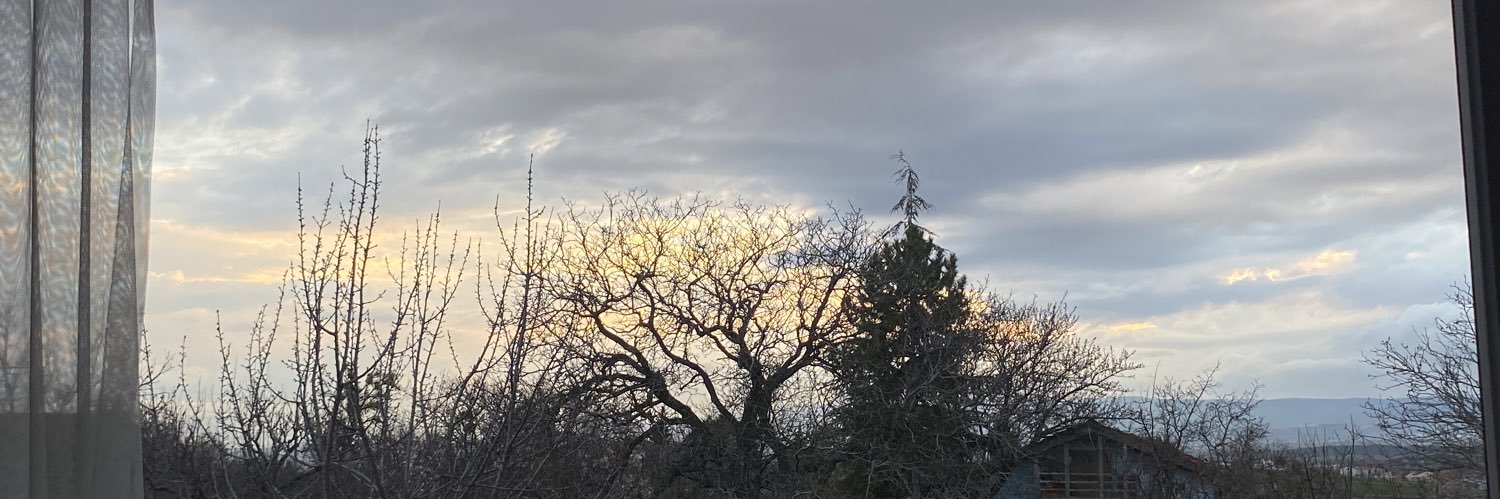 zynpesgn's profile banner image