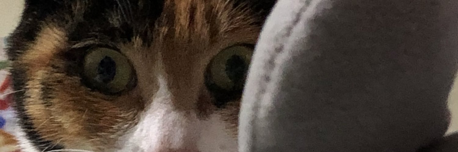 tirolcube's profile banner image