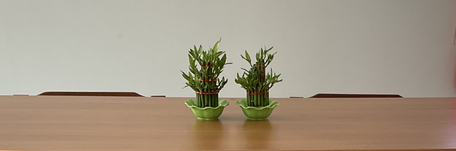 k¡¡ 🎋🍋‍🟩 banner