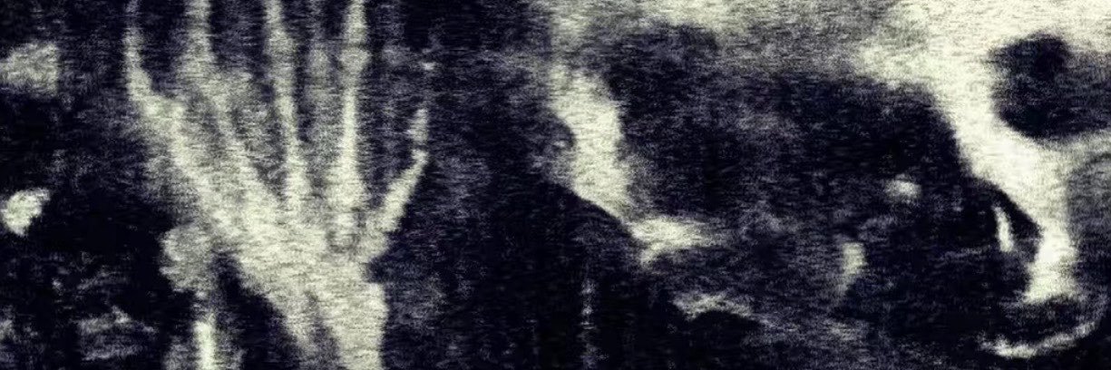 ZeninKAIHo's profile banner image