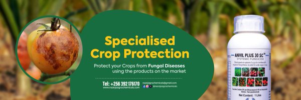 NsanjaAgro Profile Banner