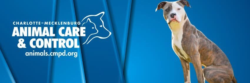 animals_clt's profile banner image