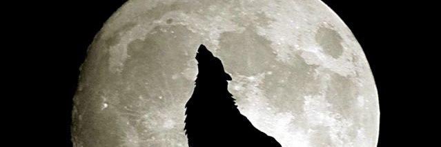 catalbasemre's profile banner image