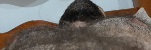 21cm_grosso Profile Banner