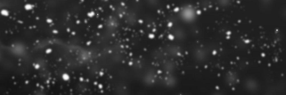 海野りょう🐟 banner