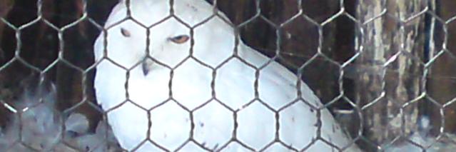 kanron01's profile banner image