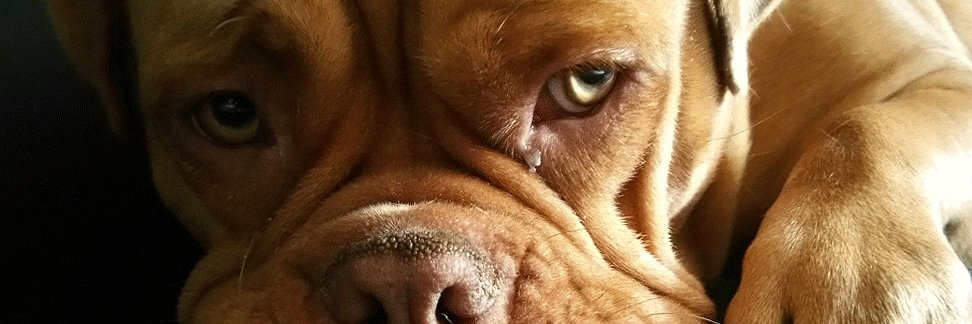 tyquan's profile banner image