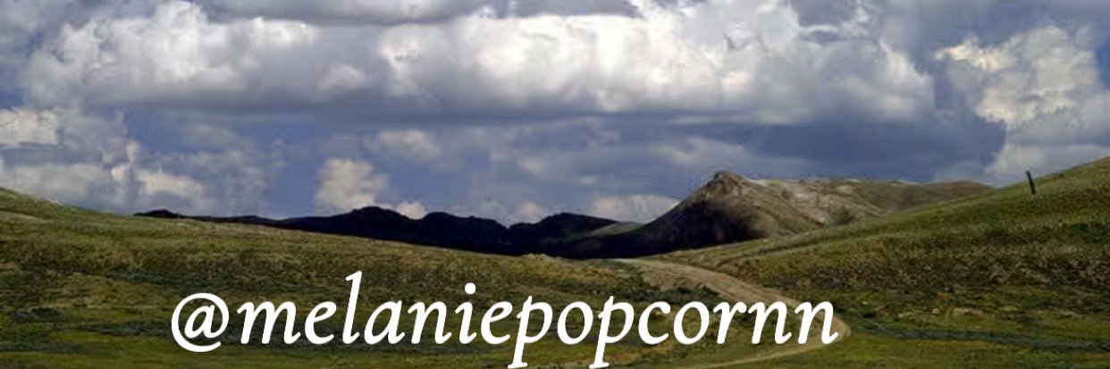 melaniepopcornn's profile banner image