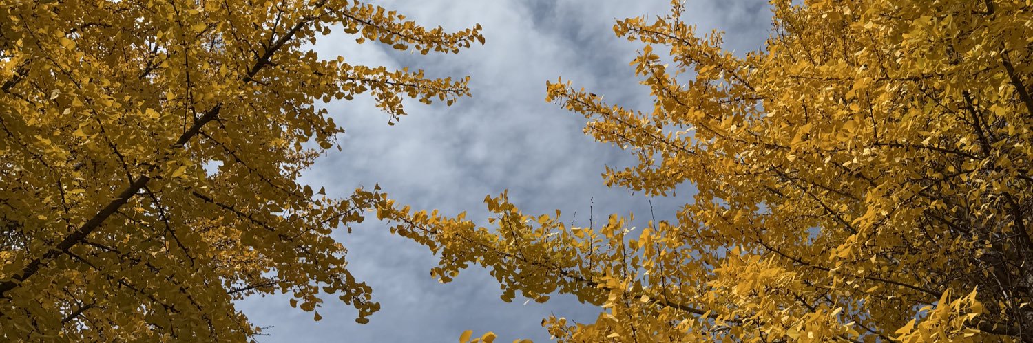 一定要早睡！！！ banner