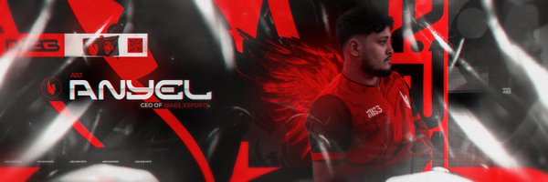 AB3Anyel2 Profile Banner
