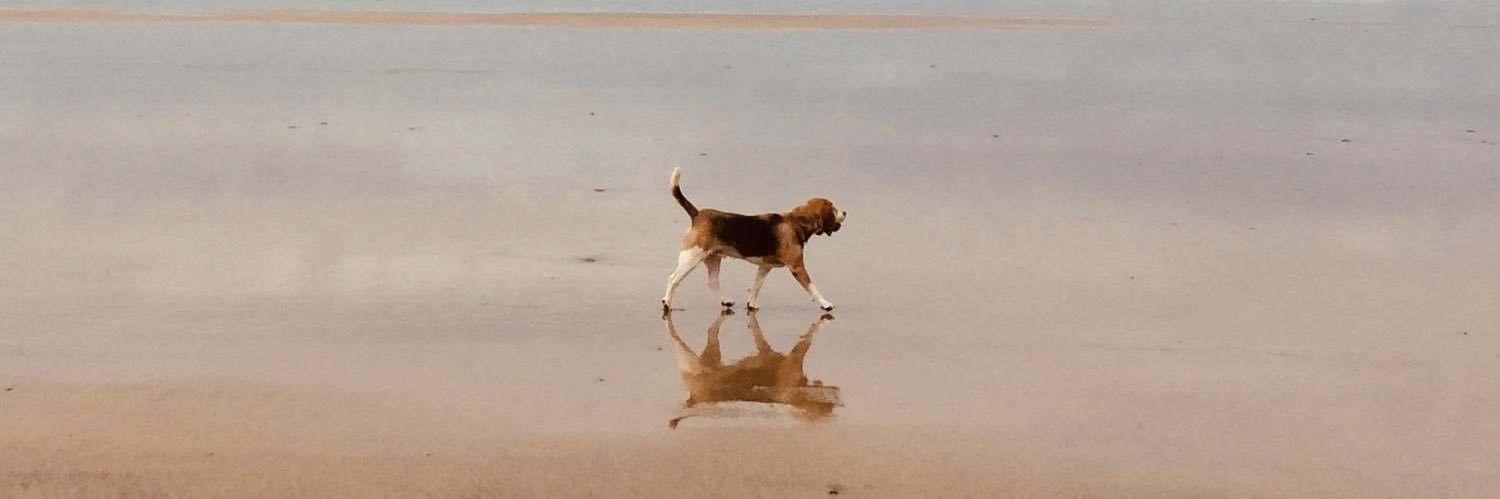 JoostJohn's profile banner image