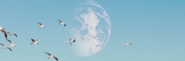 danieladepaulis Profile Banner