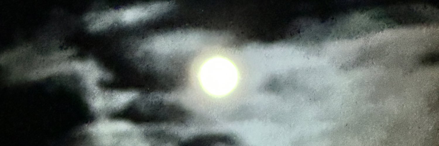 Franklito 🏝️ banner