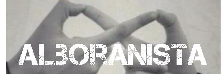roxanalboran29's profile banner image