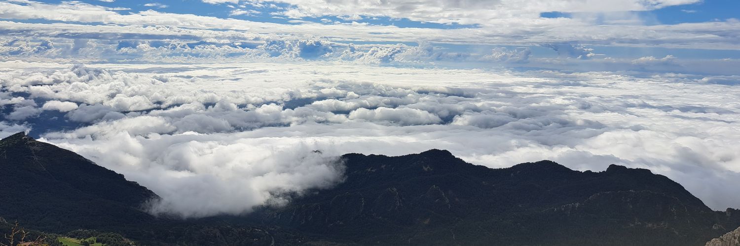 helenapico's profile banner image