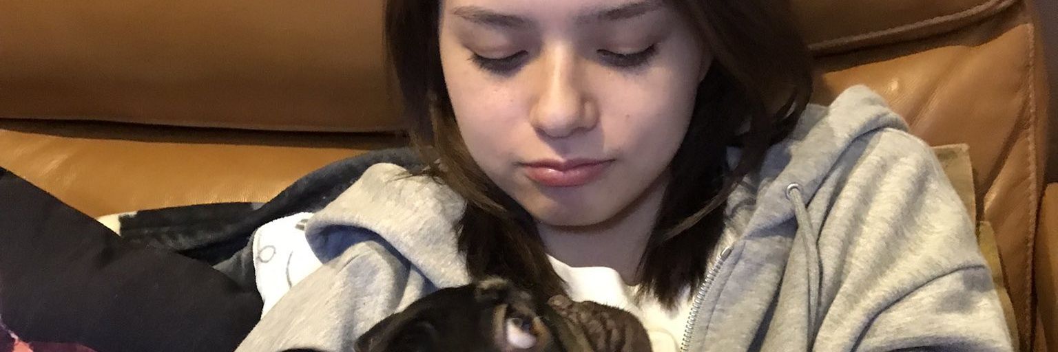 GeminiBabyGay's profile banner image
