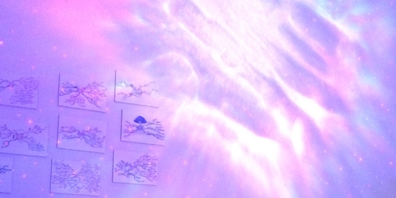 WiserLab's profile banner image