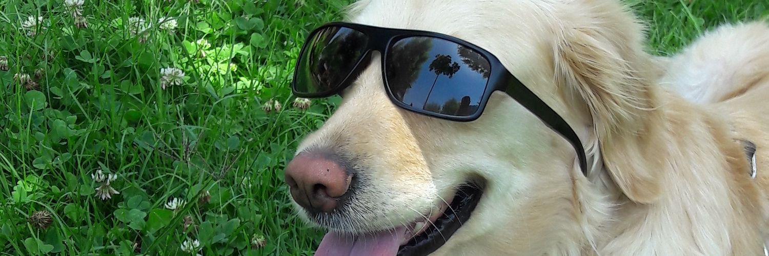 Muzaffer'in Köşesi banner