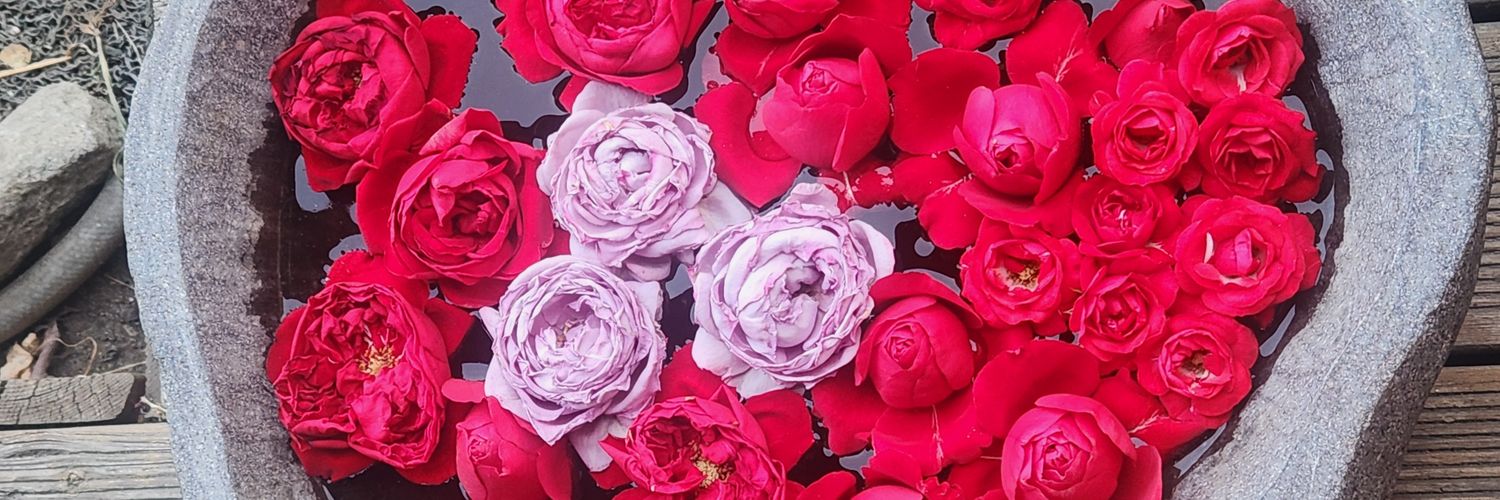 leej6100's profile banner image