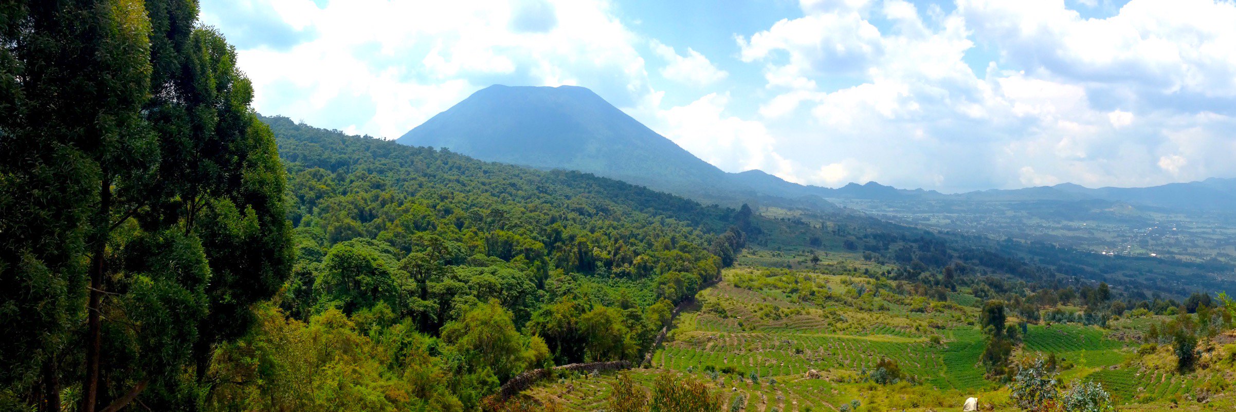 Vincent K. Cubaka banner
