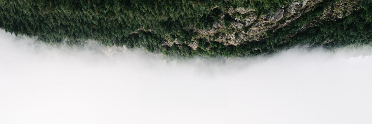 davidvuu's profile banner image
