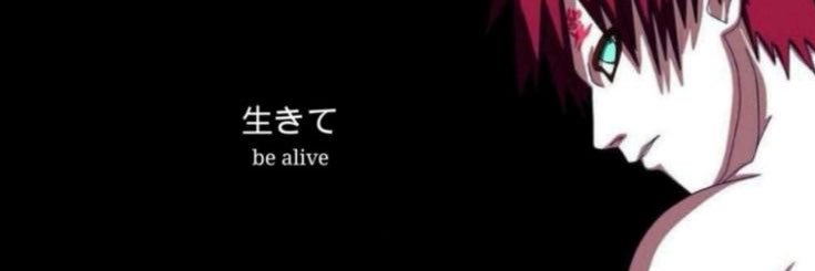 Lilyzoca 愛 banner