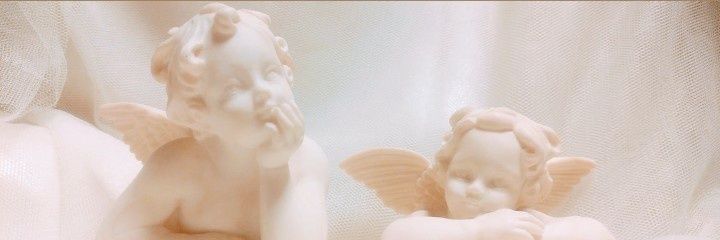 tks_sgwr's profile banner image