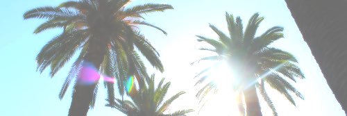 Laura_Darley's profile banner image