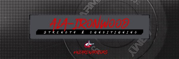 LandeckCoach Profile Banner