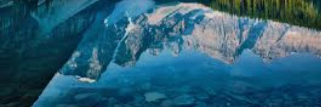 chemasted's profile banner image