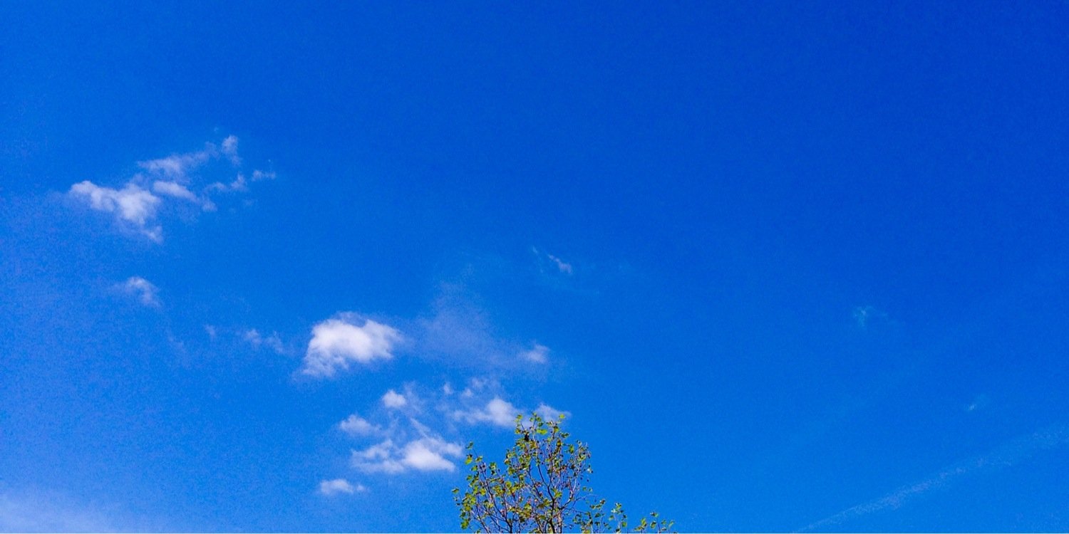 TangJacqueline1's profile banner image