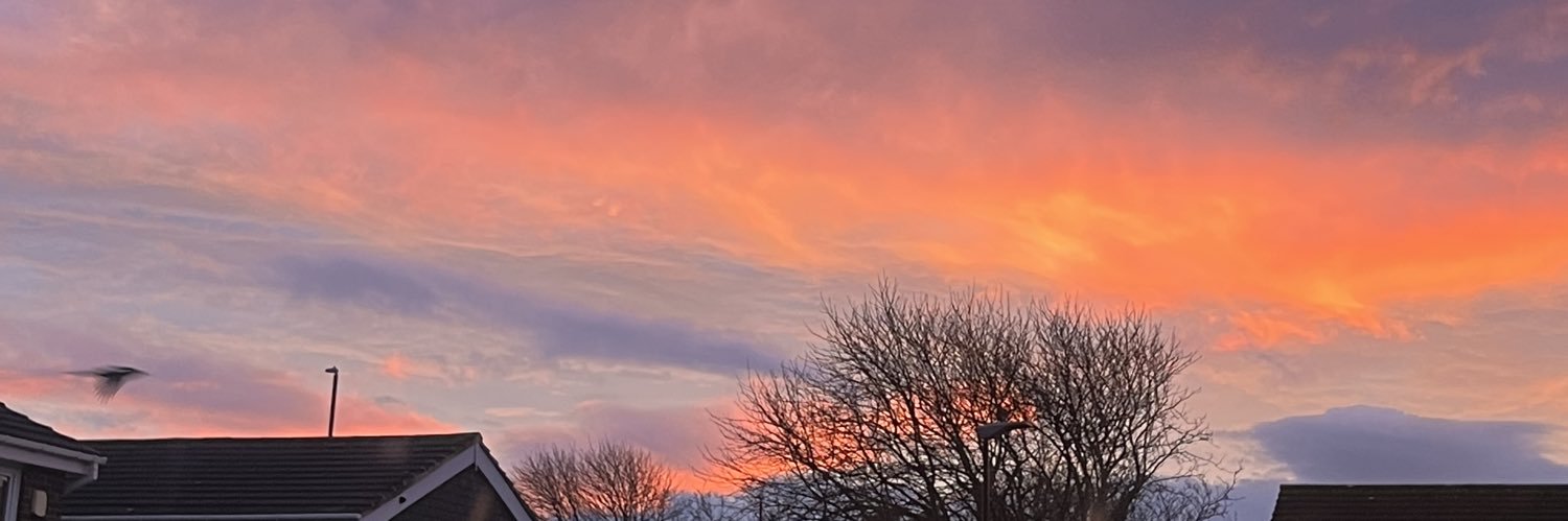 EvaMysleyko's profile banner image