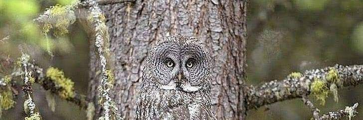 أمير أمراء المؤمنين banner