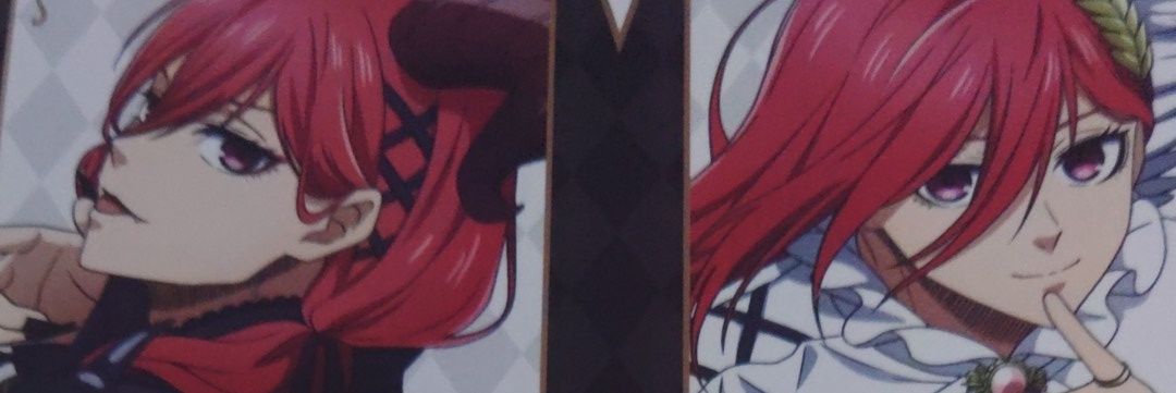 monoschwein's profile banner image