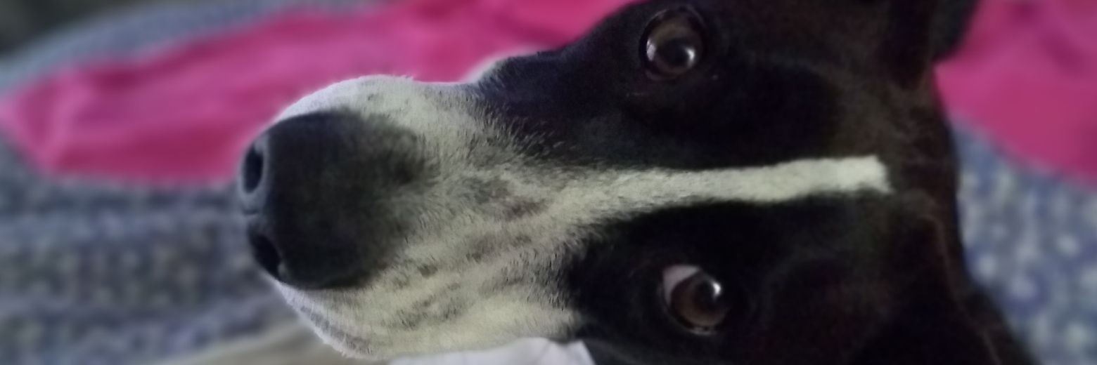 mcastelar72's profile banner image